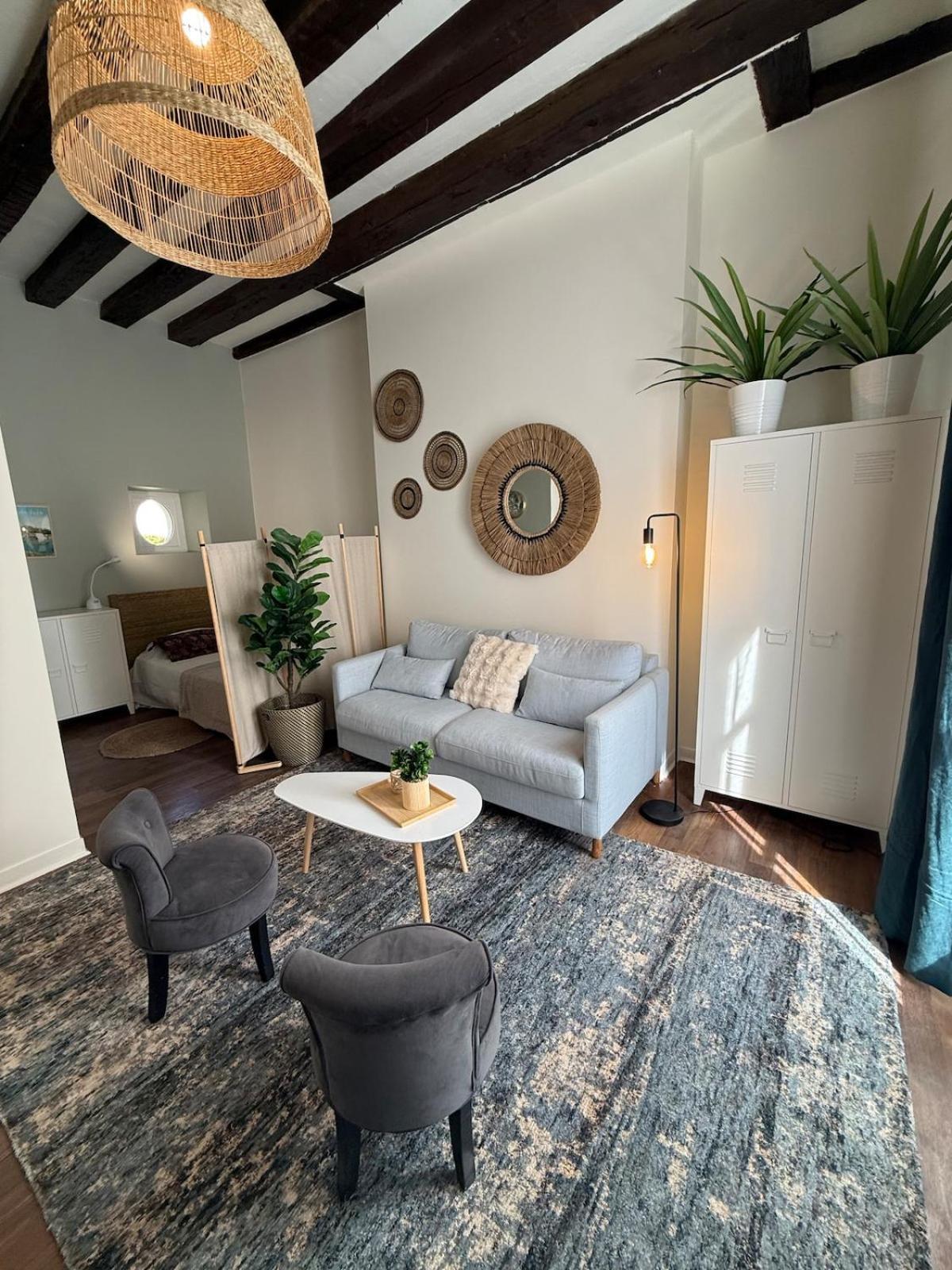 Quartier Vieux Tours, Grand Avec Coin Apartment *
